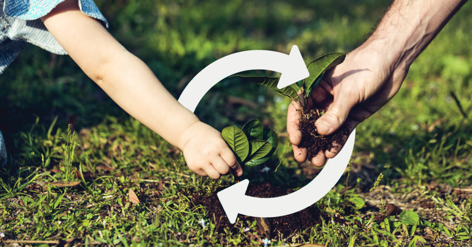 Biodegrafability Biodegradability: Theory meets reality. An expert panel around testing ...