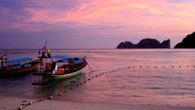 Slavery Risk Tool Allows Businesses to Identify Human Rights Violations in Seafood Supply Chains