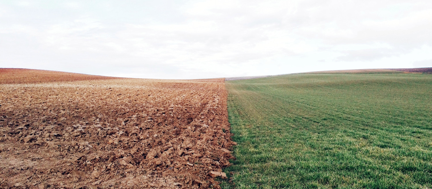 DanoneWave Gives Regenerative Ag Boost with New Soil Health Initiative