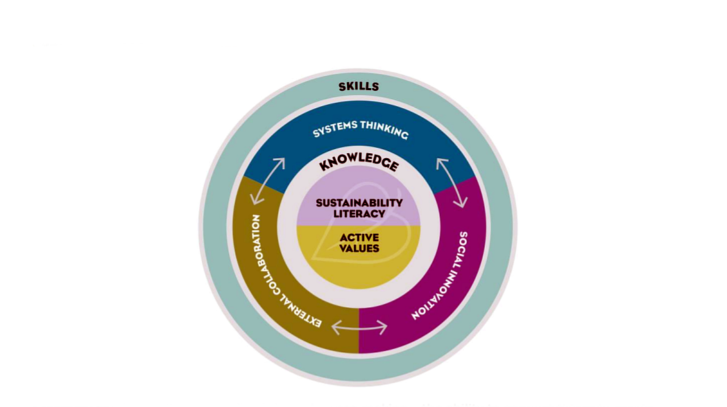 Corporate Sustainability Practitioners: Roles Have Changed — Has Your Job Description?