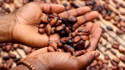 Hershey Using ‘Cocoa for Good,’ Investing $500M to Support Farming Communities
