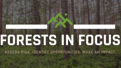 Fortune 500 Companies Join AFF, GreenBlue on Forest Sustainability Tool