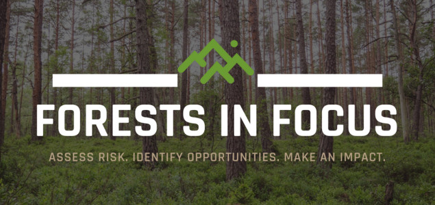 Fortune 500 Companies Join AFF, GreenBlue on Forest Sustainability Tool