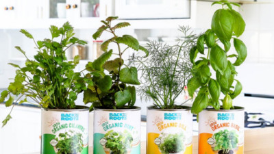 Back to the Roots, Whole Foods Partner to Grow Indoor Gardening Movement