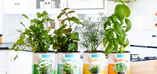 Back to the Roots, Whole Foods Partner to Grow Indoor Gardening Movement