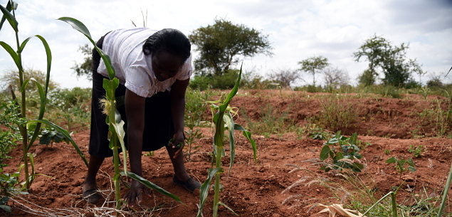 3 Key Things to Understand About Soil Health