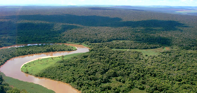 Trending: New Partnerships Grow Reforestation, Research, Offset Programs in South America