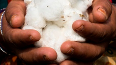 How a Practical Guide to Sourcing Sustainable Cotton Could Help Transform the Industry