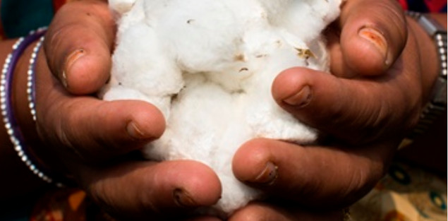 How a Practical Guide to Sourcing Sustainable Cotton Could Help Transform the Industry