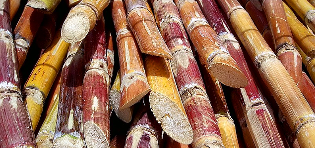 New Projects in Guatemala, Australia Sweetening Sugar Industry Sustainability Practices