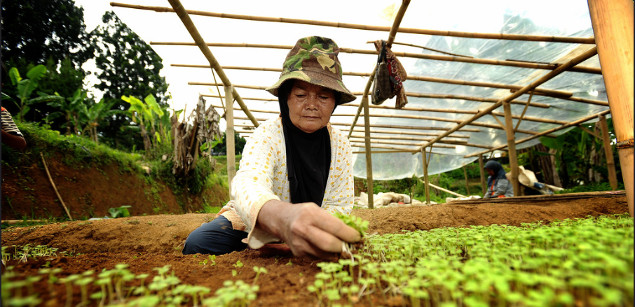 APP, MTG Partner to Turn 1K Women from Forest Communities into Herbal Entrepreneurs