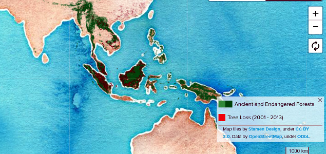 New Global Map of Ancient, Endangered Forests Brings Conservation Science to Boardrooms