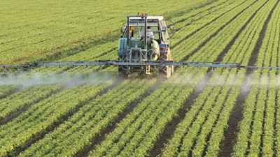 USDA Transitional Certification Program Makes It Easier for Farmers to Go Organic