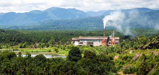 WRI Partnership Aims to Foster Supply Chain Transparency, Zero-Deforestation Strategies