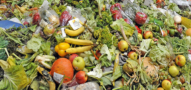 Can We Really Cut Food Waste in Half?