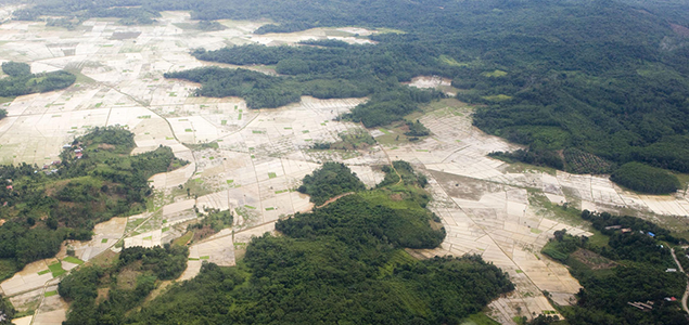 Investors Worth $615.7B Urge Latin America to Make Good on Zero-Deforestation Commitments