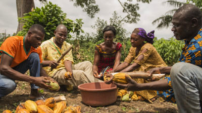#BusinessCase: Championing Female Role Models Across the Cocoa Value Chain