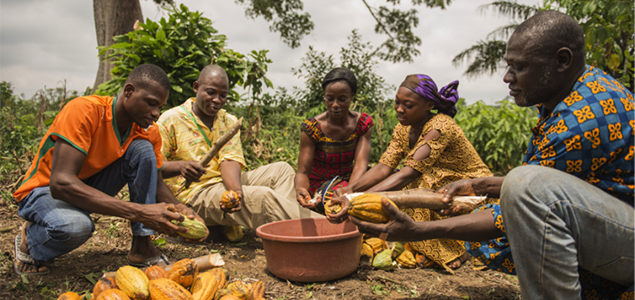 #BusinessCase: Championing Female Role Models Across the Cocoa Value Chain