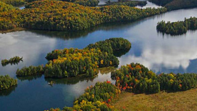 TD, NCC Assign Economic Value to Ecological Services of Canada’s Forests