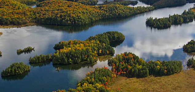 TD, NCC Assign Economic Value to Ecological Services of Canada’s Forests