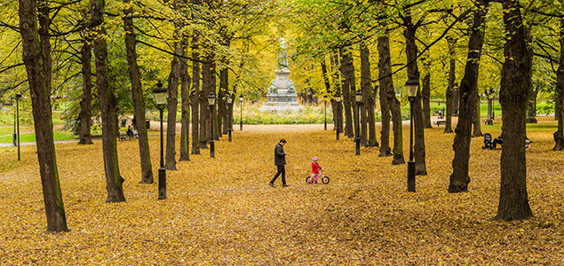 Report Finds Link Between Improved Health, Access to Nature