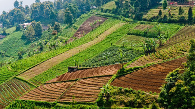 New SALSA Platform to Promote Sustainability in Agri-Business Across SE Asia