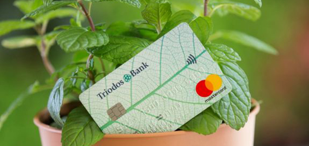 Triodos Bank Is Taking Sustainable Banking Mainstream in the UK