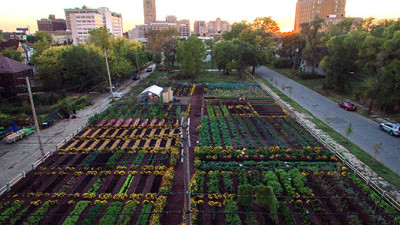 Transformational Collaboration: How Brands Are Helping to Create the US’ First Sustainable Urban Agrihood