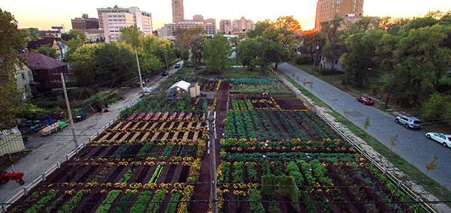 Transformational Collaboration: How Brands Are Helping to Create the US’ First Sustainable Urban Agrihood