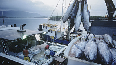 50 Major Companies Band Together to Stomp Out Illegal Tuna, Forced Labor