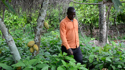 Mondelēz International Revs Up Forest Protection Efforts in Ghana, Côte d'Ivoire