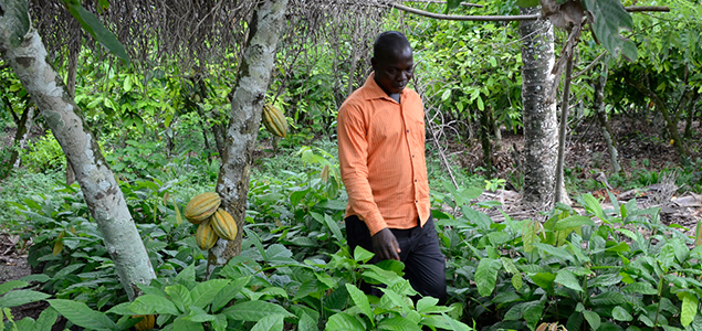 Mondelēz International Revs Up Forest Protection Efforts in Ghana, Côte d'Ivoire