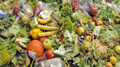 Trending: Turning Trash Into Treasure in the Name of Ending Food Waste