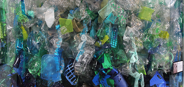 19 US Aquariums Team Up to Fight Plastic Pollution