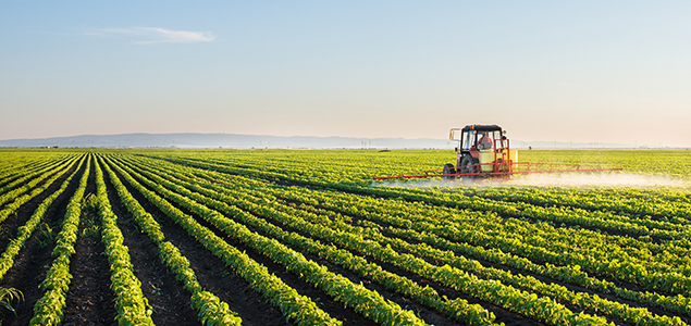 WWF Launches Research Program to Reduce Food Waste, Boost Farmers' Bottom Lines