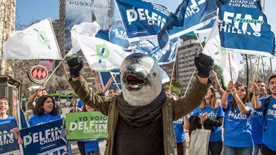 In Chile, a Dolphin Is Running for President to Highlight Need for Strong Climate Leadership
