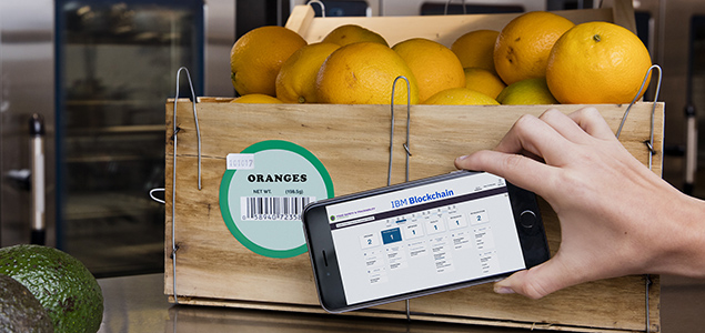 IBM, Food Giants Harness Blockchain Tech to Improve Supply Chain Traceability