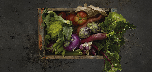 Grundig Renews Food Waste Campaign, Releases New Consumer Research