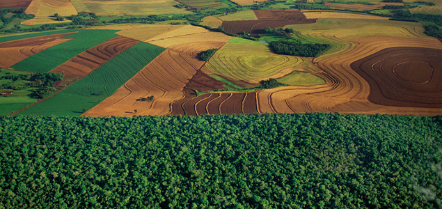 Quantis Introduces New Land Use Guidance to Slash Global Supply Chain Emissions