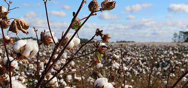 Apparel, Textile Industry Giants Unite Around SDGs at 2017 Textile Sustainability Conference