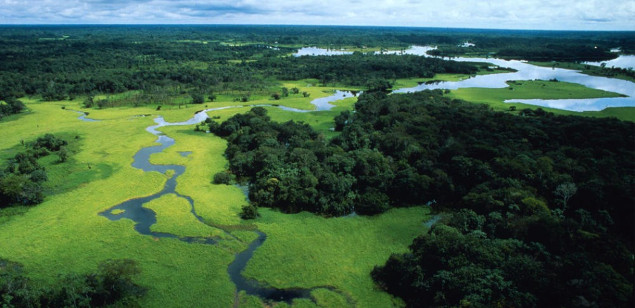 'We Haven't Even Scratched the Surface': Insights from the World Forum on Natural Capital