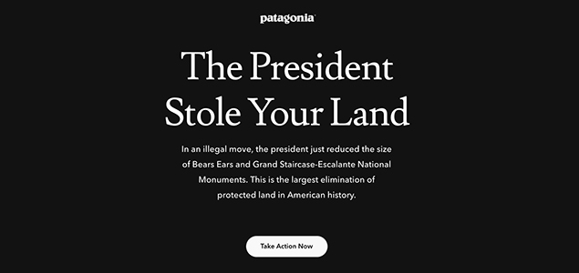 Patagonia Blacks Out Homepage, Calls on Consumers to Protect Public Lands