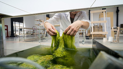 Trending: Algae, Ocean Plastics Pave the Way for More Sustainable Consumer Products