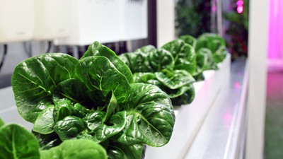 Trending: High-Tech Shipping Crates, Precision Technology Poised to Revolutionize Urban Ag