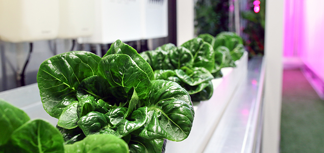 Trending: High-Tech Shipping Crates, Precision Technology Poised to Revolutionize Urban Ag