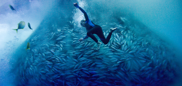 'Sea the Possibilities' Healthy Eating Challenge Not So Healthy for the Oceans