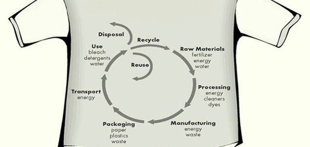 The Role of the Representative Product in Product Environmental Footprinting