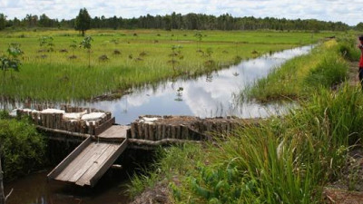 Stakeholder Collaboration Enables Accelerated Progress in APP's Peatland Management Efforts