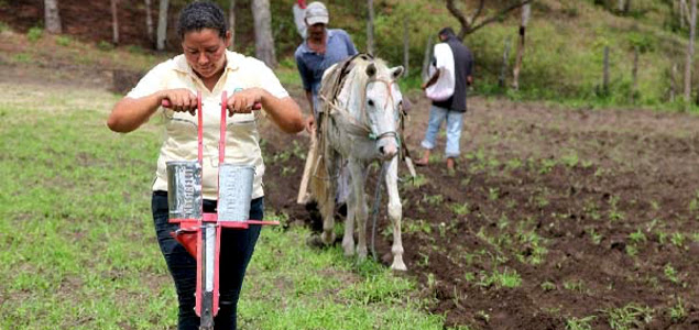 Walmart's Smallholder Food Sourcing in China, Nicaragua Offer Multiple Lessons for Stakeholders