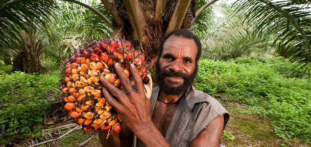 RSPO Introduces Voluntary Advanced Add-On Criteria for Sustainable Palm Oil